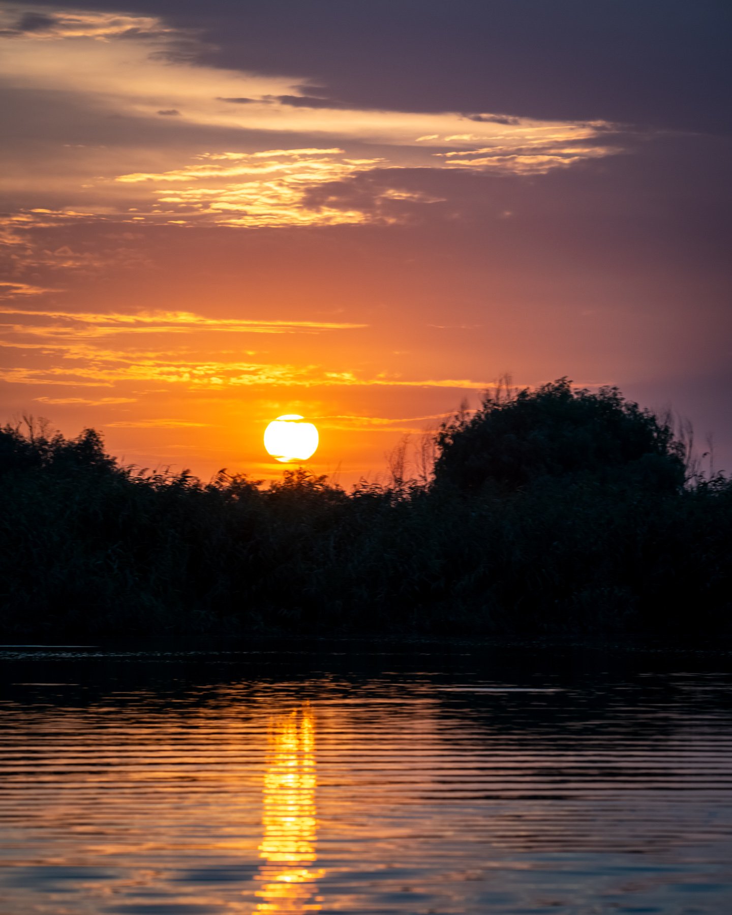 Pasăre zburând la apus vibrant.